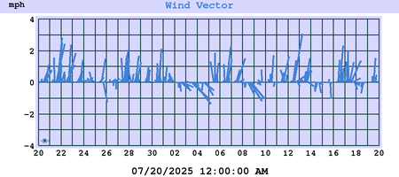 Wind Vector